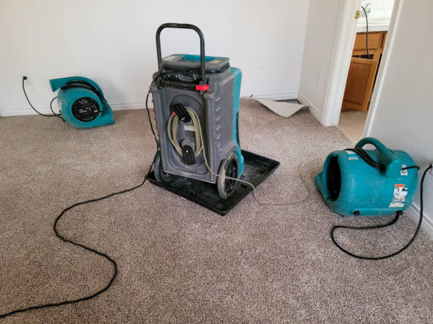 Best Water damage restoration near me  in Urania, LA