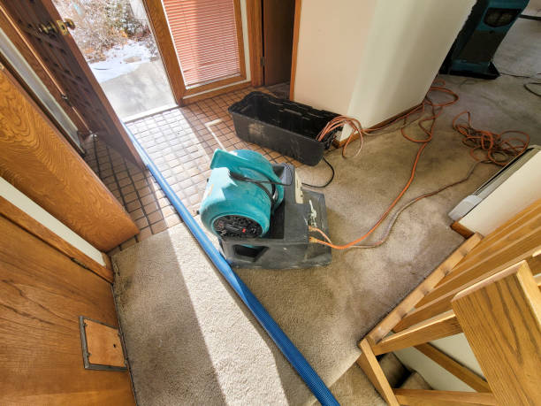 Water damage restoration process in LA