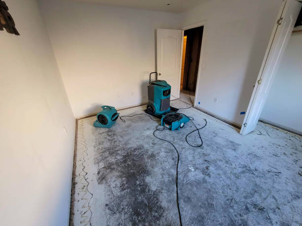 Fire Damage Restoration in LA