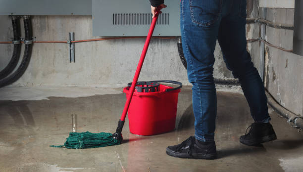 Best 24-hour water damage restoration  in Urania, LA