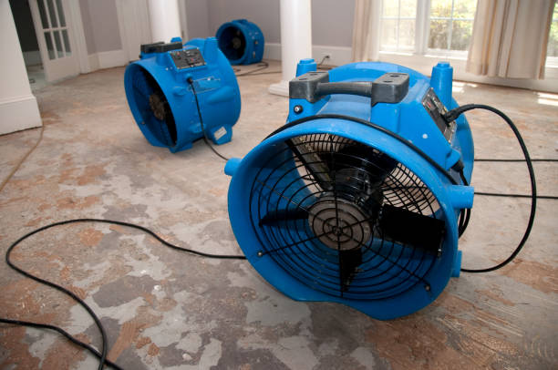 Best Sewage cleanup and water damage restoration  in Urania, LA