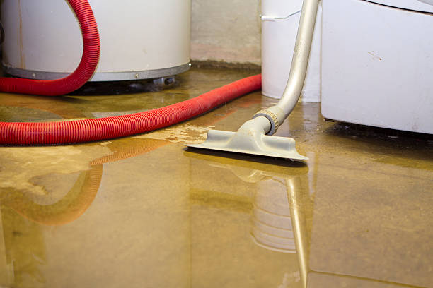 Best 24/7 water damage repair  in Urania, LA