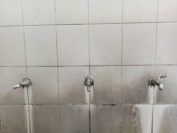 Best Flooded house restoration  in Urania, LA