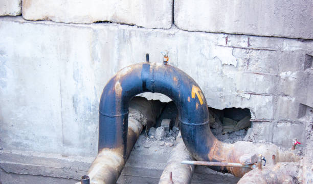 Best Professional water damage repair  in Urania, LA